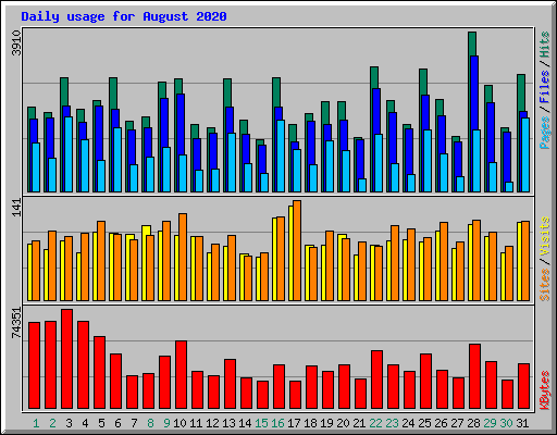 Daily usage for August 2020