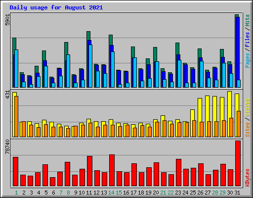 Daily usage for August 2021