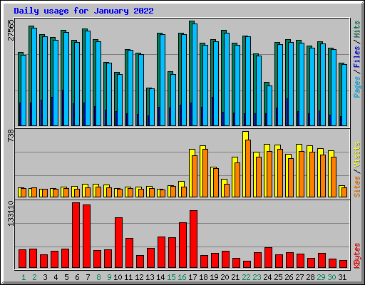 Daily usage for January 2022