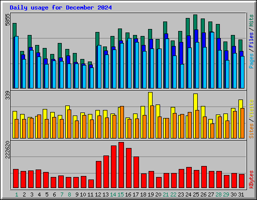 Daily usage for December 2024