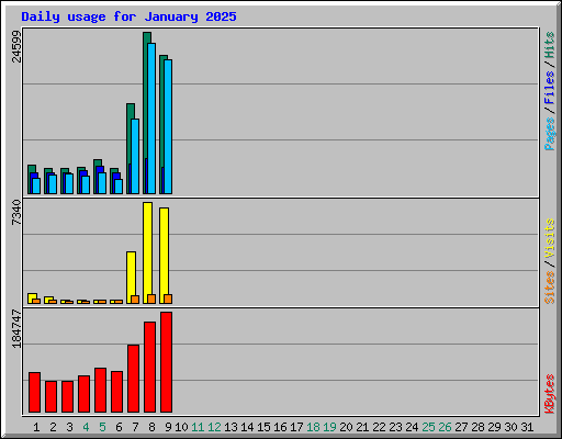 Daily usage for January 2025