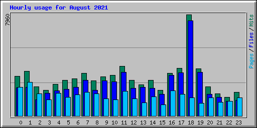 Hourly usage for August 2021