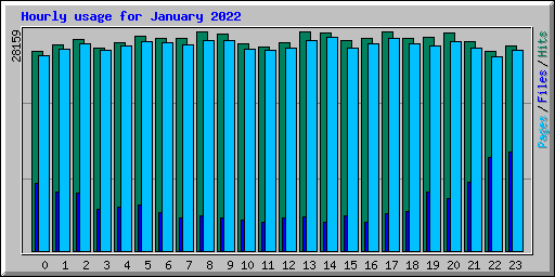 Hourly usage for January 2022