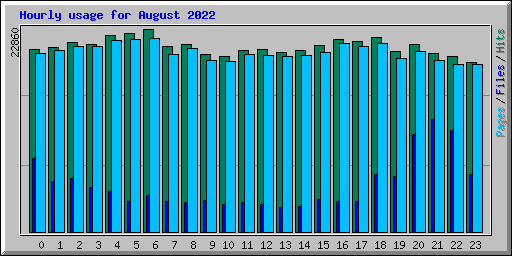 Hourly usage for August 2022