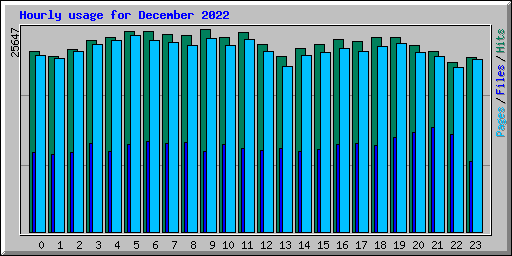 Hourly usage for December 2022