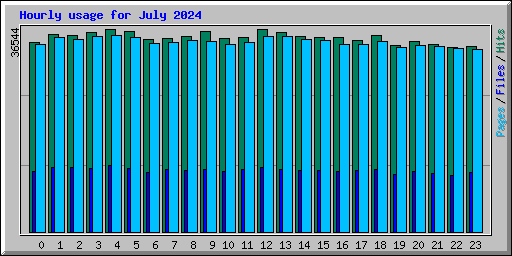 Hourly usage for July 2024