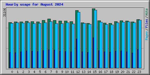 Hourly usage for August 2024