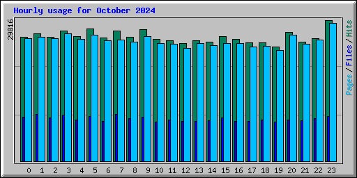 Hourly usage for October 2024