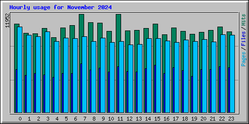 Hourly usage for November 2024