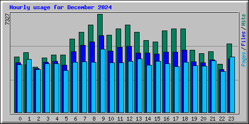 Hourly usage for December 2024