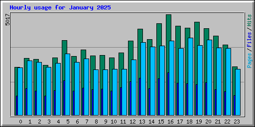 Hourly usage for January 2025