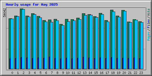 Hourly usage for May 2025