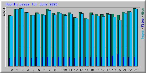 Hourly usage for June 2025
