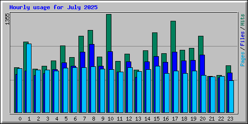 Hourly usage for July 2025